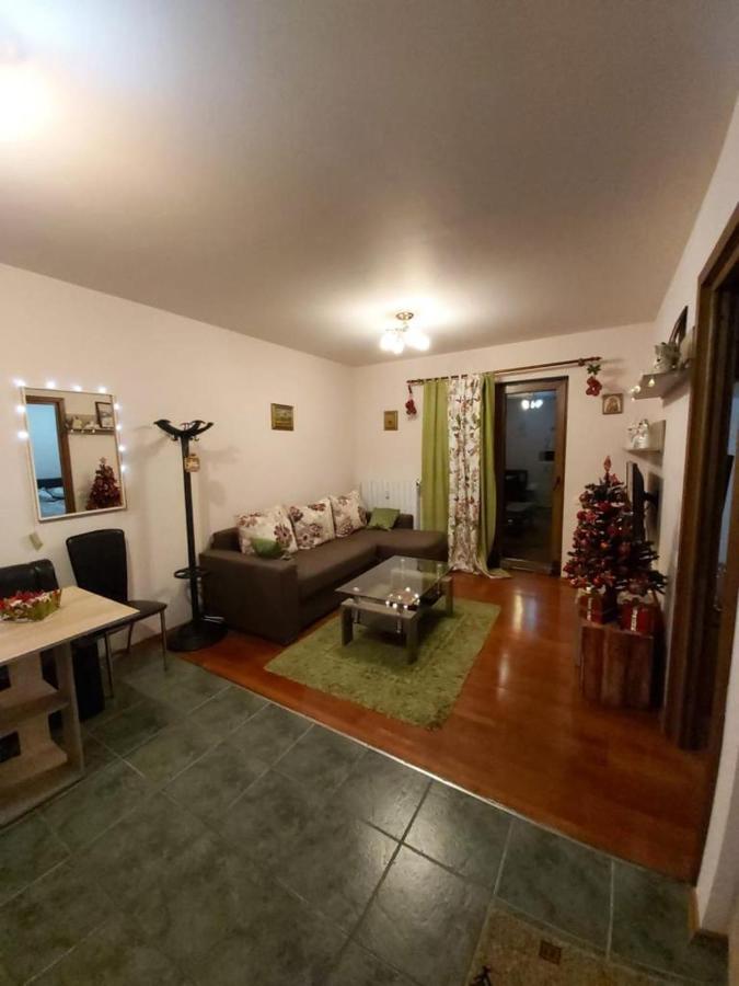 Andra Apartment Sinaia Exterior photo